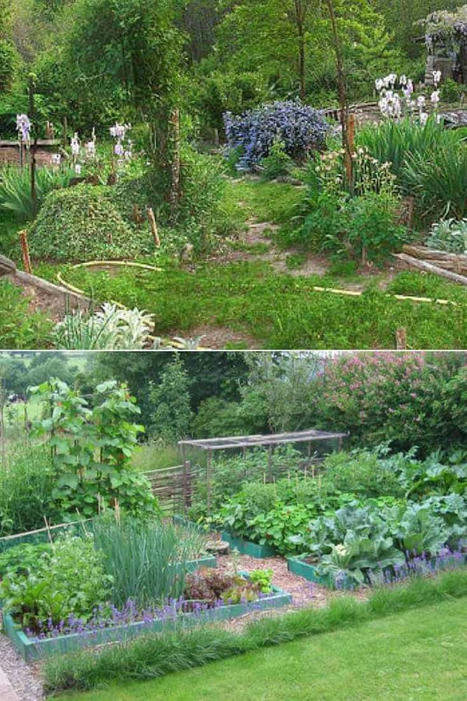 A Guide to Permaculture for the Beginners | 1001 Gardens ideas ! | Scoop.it