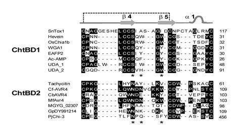 PLoS Pathogens: The Cysteine Rich Necrotrophic Effector SnTox1 Produced by Stagonospora nodorum Triggers Susceptibility of Wheat Lines Harboring Snn1 | Plants and Microbes | Scoop.it