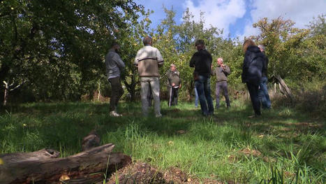 Atteintes à l'environnement : la justice de Haute-Vienne propose un stage plutôt qu'une amende | Les Colocs du jardin | Scoop.it