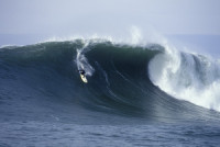 Hollywood Surf Movie Seeks Local Extras: Surfers and Families | Surfing Magazine | Scoop.it