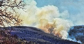 Prévention des incendies de forêt: réglementation des écobuages et sanctions | Pastoralisme Ours Loups Lynx | Scoop.it