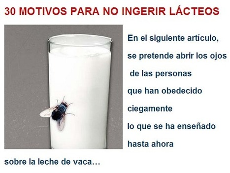 30 MOTIVOS PARA NO INGERIR LÁCTEOS | PIENSA en VERDE | Scoop.it