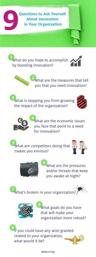 9 questions to ask yourself about innovation in your organisation | Adaptive Leadership and Cultures | Scoop.it