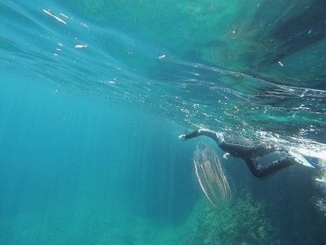 Snorkelen & duiken op Sardinië | Ciao tutti, Ontdek Italië | Vacanza In Italia - Vakantie In Italie - Holiday In Italy | Scoop.it