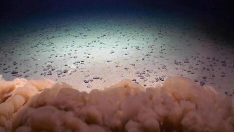 Deep-sea mining starves life in the ocean’s twilight zone | Soggy Science | Scoop.it