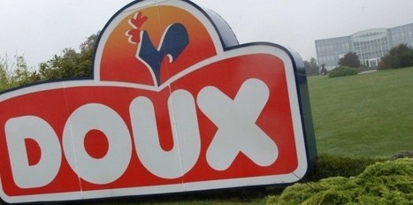 Doux : où en est-on du dépeçage du géant de la volaille ? | La Gazette des abattoirs | Scoop.it