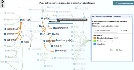 Interpreting Microbiome Signatures with MicrobiomeNet | curP | RMH | Scoop.it