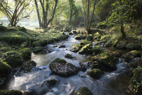 De nouveaux droits pour les rivières sauvages en France | Cabinet Alliances | Scoop.it
