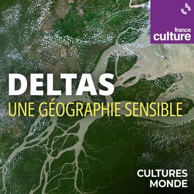 Deltas, une géographie sensible : un podcast à écouter en ligne | Gestion de l'eau | Scoop.it