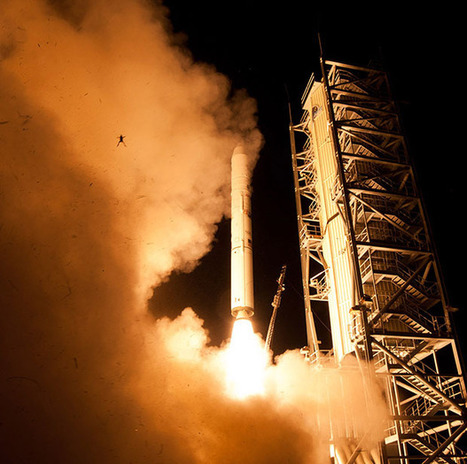 Frog Photobombs NASA Launch Photo | Mobile Photography | Scoop.it