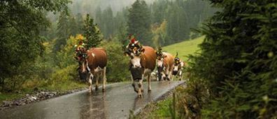 Schweiz Tourismus setzt auf Traditionen | Destination Management Issues | Scoop.it