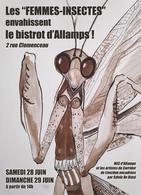 Allamps. Expo : les femmes insectes envahissent le bistrot d’Allamps | Variétés entomologiques | Scoop.it