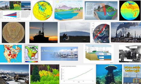 Amazing Science: Environment Postings | Amazing Science | Scoop.it