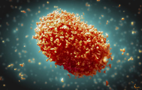 Monkeypox : le vaccin MVA protège en prévention, mais pas en post-exposition | Life Sciences Université Paris-Saclay | Scoop.it
