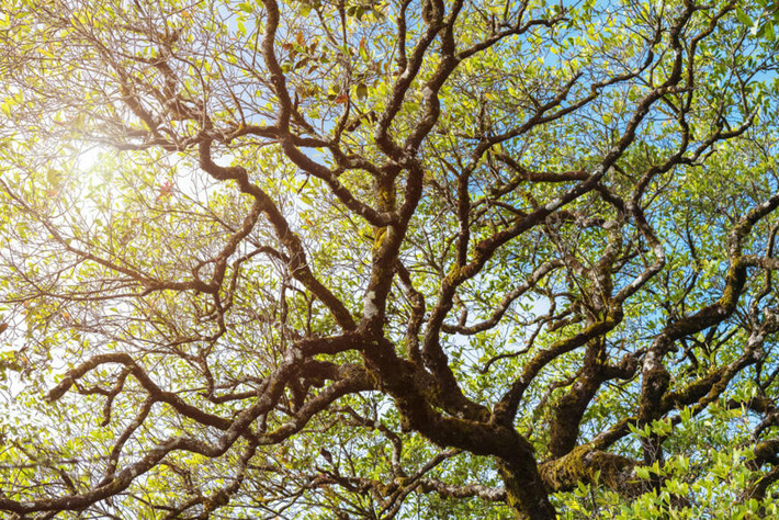 Wealthy families embrace systemic rethink to impact investing | Family Office & Billionaire Report - Empowering Family Dynasties | Scoop.it
