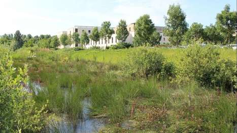 Mesures compensatoires liées à la biodiversité : les données disponibles en open-data | Biodiversité | Scoop.it