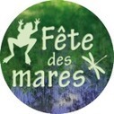 3eme édition de la Fête des mares du 2 au 10 juin 2018. Labellisez vos animations | Biodiversité | Scoop.it