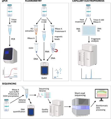 Systematic analysis of COVID-19 mRNA vaccines using four orthogonal approaches demonstrates no excessive DNA impurities - npj Vaccines | Jocelyn M. | H&eacute;sitations Vaccinales: Observatoire HESIVAXs | Scoop.it