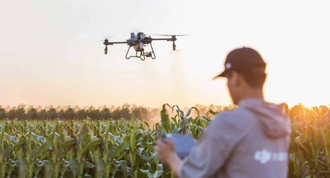 INNOVATIONS: Can the global drone revolution make agriculture more sustainable?&nbsp; | INNOVATIONS | Scoop.it