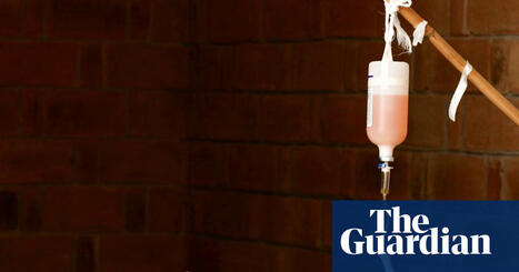 Monkeys falling from trees and baking barnacles: how heat is driving animals to extinction | Global development | The Guardian | Operation Deimos | Scoop.it