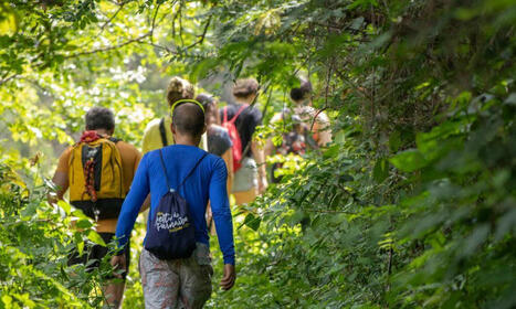 Journée internationale des forêts | Forêt, Bois, Milieux naturels : sciences et techniques | Scoop.it
