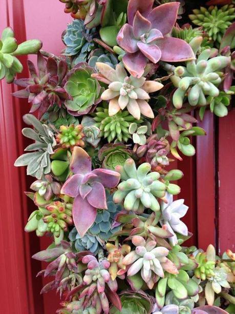 vegetables | Decorations & Design | Scoop.it