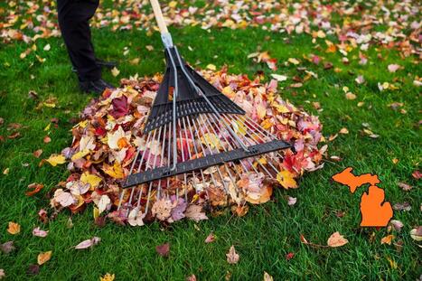 Michigan Leaf Blowing Mistake Can Be Dangerous, Costly | Industry 411 - Waste Management | Scoop.it