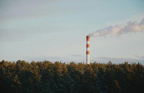 Ipbes 12 - Entreprises et biodiversit&eacute; : des concepts cl&eacute;s - FRB | Biodiversit&eacute; | Scoop.it