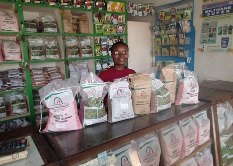 AGRA-backed companies become largest seed producers in sub-Saharan Africa | Food & Nutrition Security in East Africa | Scoop.it