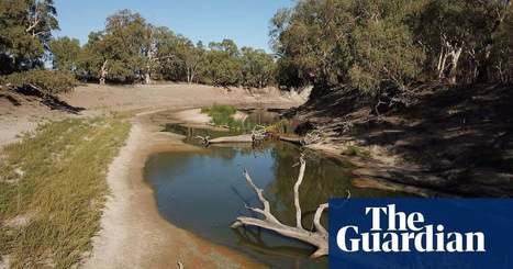 Water wars: will politics destroy the Murray-Darling Basin plan – and the river system itself? | Australia news | The Guardian | Stage 4 Water in the World | Scoop.it