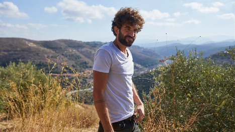 LEBANON’s Olive Growers Struggle as Conflict and Climate Pressures Deepen | CIHEAM Press Review | Scoop.it