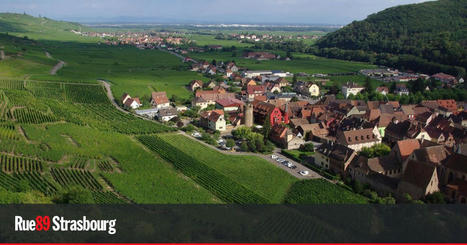 Près de 30 communes alsaciennes fortement exposées aux pesticides | Alsace Actu | Scoop.it