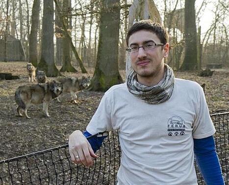 Une | Ouest des Vosges : « Un jeune loup » - Le Républicain Lorrain | Pastoralisme Ours Loups Lynx | Scoop.it