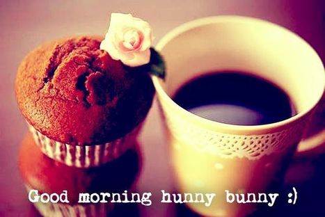 Good Morning Honey Bunny Images Sms Pictures