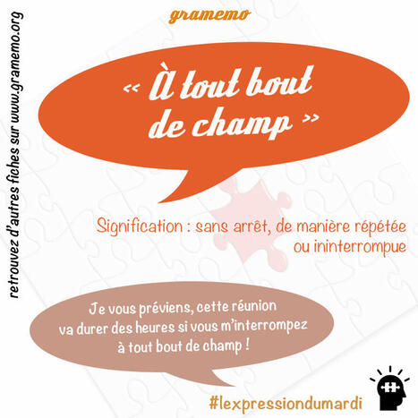 &Agrave; tout bout de champ &mdash; #lexpressiondumardi 255/52&nbsp; | FLE C&Ocirc;T&Eacute; COURS | Scoop.it