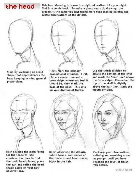 Head Drawing Reference Guide | Drawing References and Resources | Scoop.it