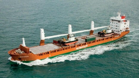 Dutch Cargo Ship on Fire and Abandoned After Houthi Missile Attack / le 29.09.2025 | Pollution accidentelle des eaux (+ déchets plastiques) | Scoop.it