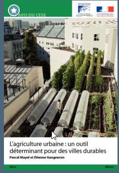 2019 - L'agriculture urbaine : un outil déterminant pour des villes durables | ESPACES VEGETALISES URBAINS | Scoop.it