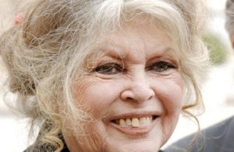 Abattage rituel | Congr&egrave;s juif europ&eacute;en : "Brigitte Bardot insulte les juifs" | ACTUALIT&Eacute; | Scoop.it