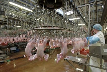 Reprise de Doux. Séisme social en vue - Économie - LeTelegramme.fr | La Gazette des abattoirs | Scoop.it