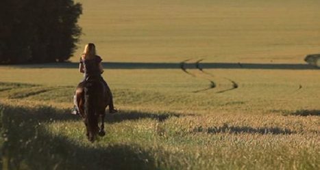 D&eacute;c&egrave;s de Val&eacute;rie Guignabodet - Equidia Life | Salon du Cheval | Scoop.it