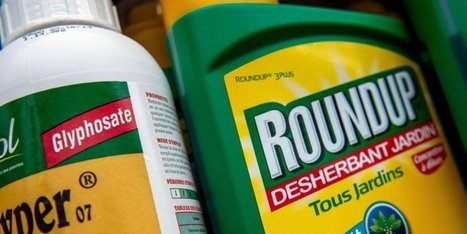 Le Roundup cancérigène : Monsanto était au courant depuis plus de 30 ans, selon un chercheur | Toxique, soyons vigilant ! | Scoop.it