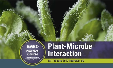 EMBO Practical Course: Plant-Microbe Interaction. 18-29 June, 2012, Norwich, UK | Plants and Microbes | Scoop.it