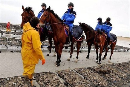 Parcs &agrave; hu&icirc;tres: la Garde r&eacute;publicaine patrouille | Cheval et Nature | Scoop.it