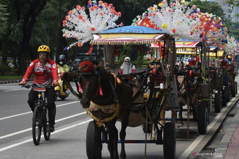 Jakarta aims to lead in sustainable transportation: Governor | Supply chain News and trends | Scoop.it