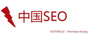 Faire du SEO chinois sans le budget nécessaire ? Mes solutions ! #Baidu | Search engine optimization : SEO | Scoop.it
