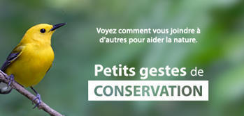 CNC: Glossaire | DictiHOnnaires! | Scoop.it