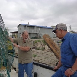 Graham A Great Catch For Shrimp Fishery | TAMUtimes | Sustainability & Us | Scoop.it
