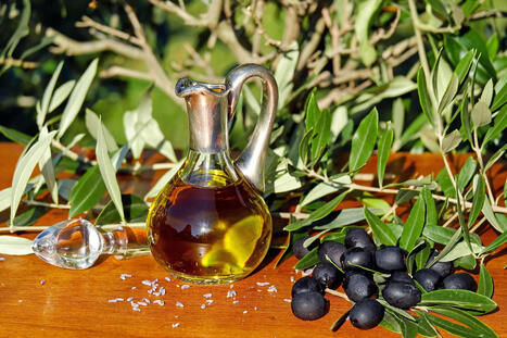 Huile d&rsquo;olive : le Portugal lance son premier label de durabilit&eacute; | Sustainability | Scoop.it