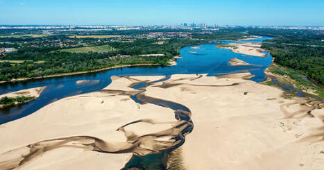 ENVIRONMENT: Drought over large parts of Europe raises concern  | Revue de presse - Club DEMETER | Scoop.it